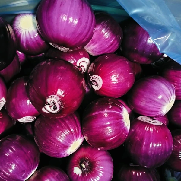 Huaang Food Processing vinner marknadsandelar med stabil kvalitet