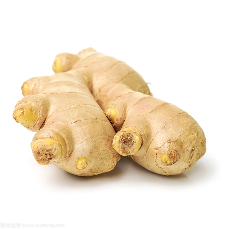 Varför är Premium Fresh Ginger det föredragna valet för kvalitetsmedvetna köpare?