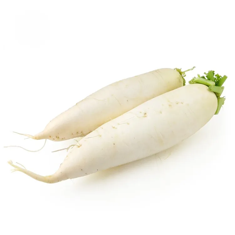 Crunchy White Rädisa