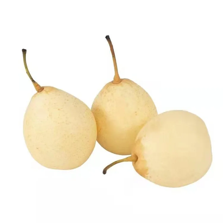 Nyskördad Ya-päron