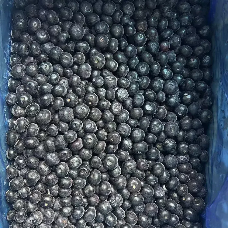 Frysta blåbär Premium IQF blåbär
