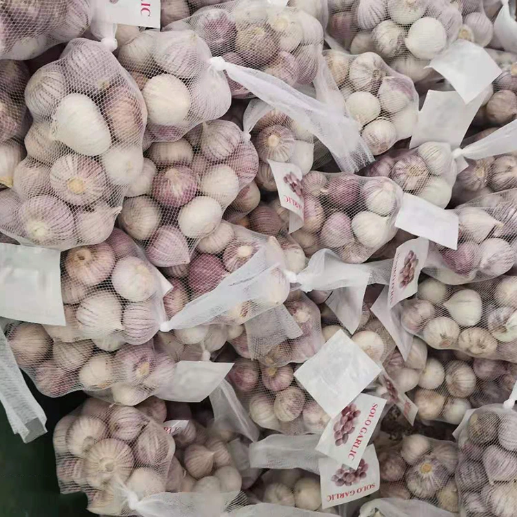 Enkel vitlöksklyfta av hög kvalitet