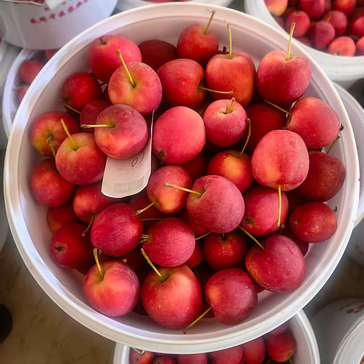 High-Grade New-Crop Chinese Cherry Apple