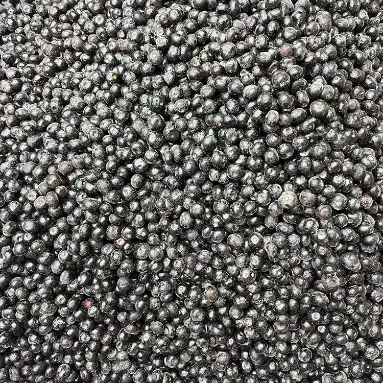 Frozen Blueberry Premium IQF Blueberries
