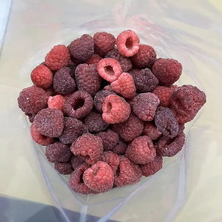 Premium IQF Helfrysta röda hallon